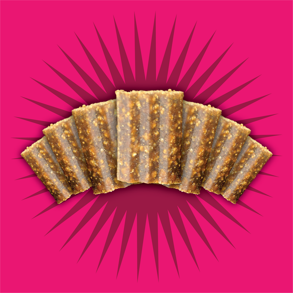 Grain Free Salmon and Vegetable Jerky Bites | 20 oz | Triumph