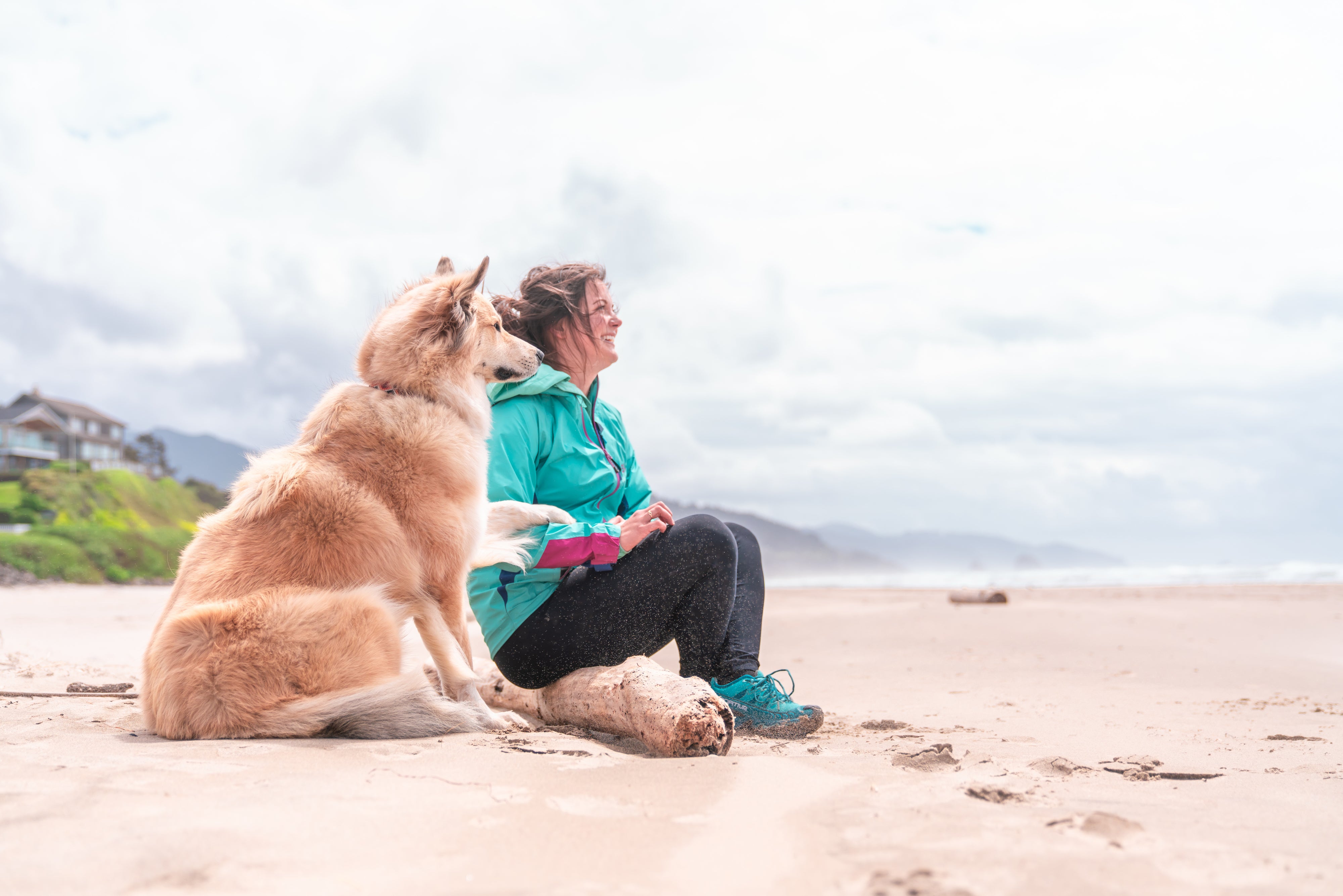 Summer Snacks to Keep Your Dog Cool