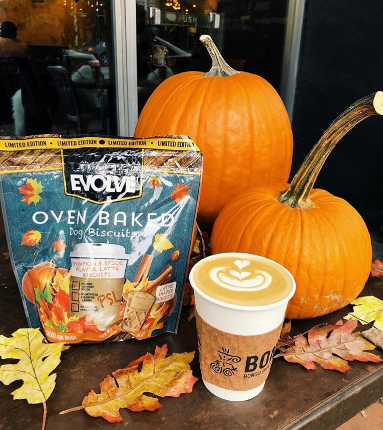 4 Ways to Enjoy Pumpkin Spice Latte Treats