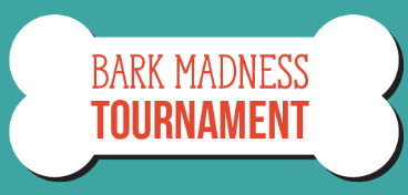 BARK MADNESS IS HERE!