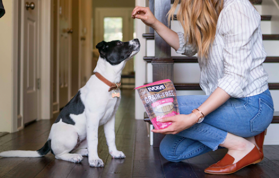 IS IT OKAY TO FEED MY DOG HUMAN FOOD?