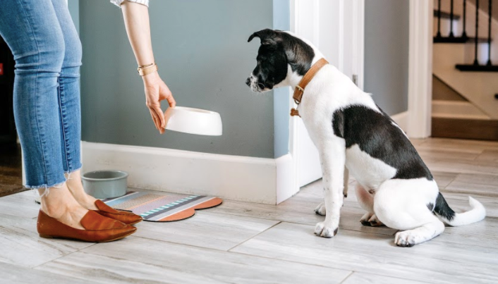 WHY DOES IT MATTER WHAT I FEED MY PET?