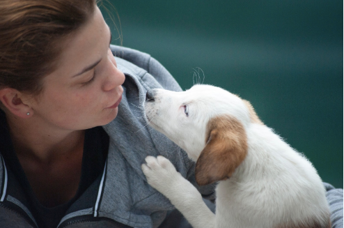 THE SIMPLE SIGNS OF LOVE FROM YOUR DOG