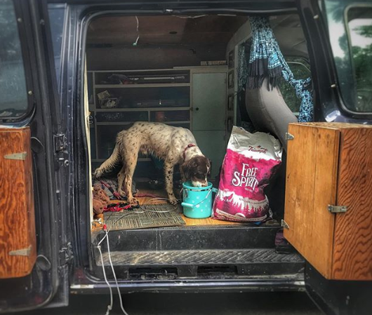 Van Life: Puppy Edition
