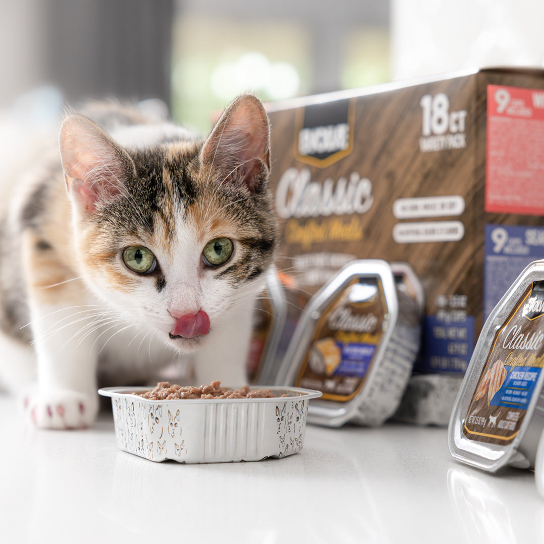 Seafood Cat Food - Wholesome & Delicious Options – Sunshine Pet Store