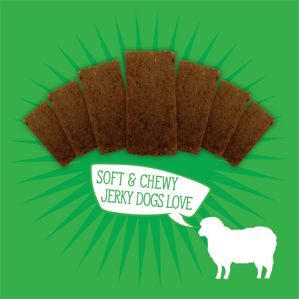 Evolve Classic Lamb & Brown Rice Jerky Bites Soft Dog Treats | 12 oz