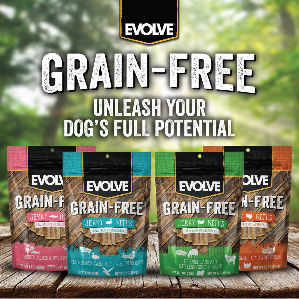 Evolve Grain Free Jerky Bites