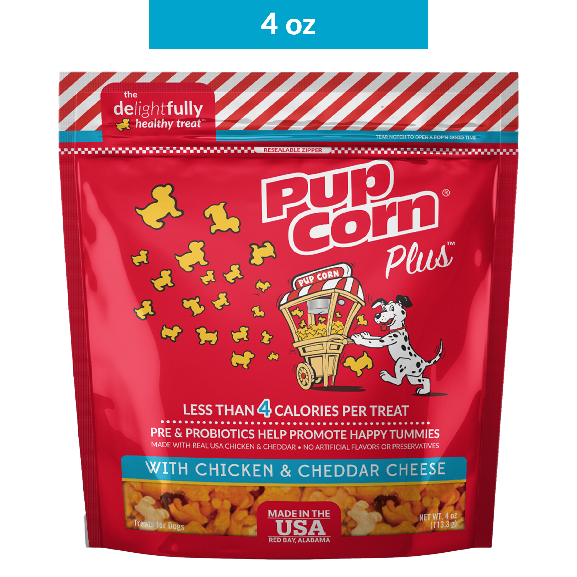 healthy dog treat