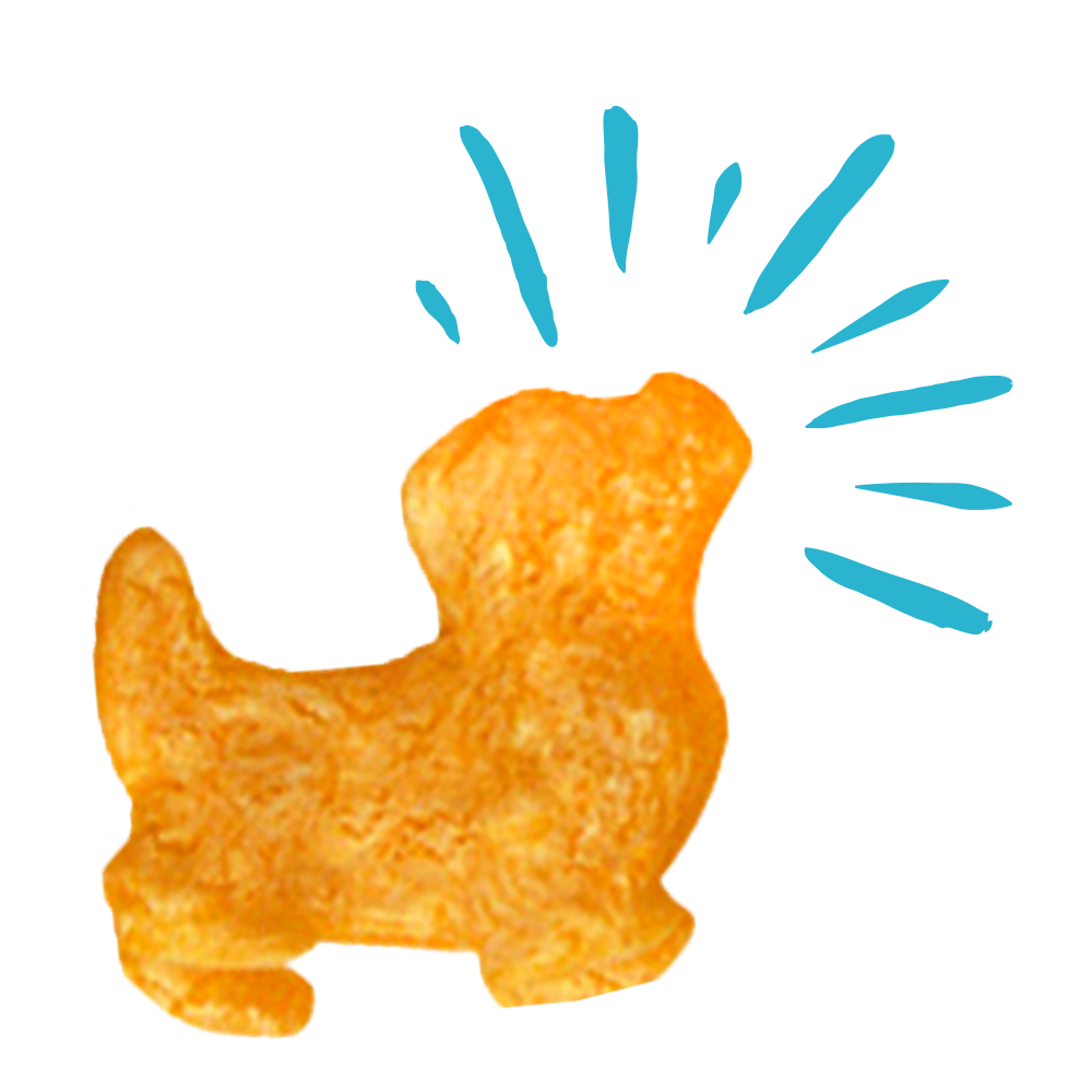 Chicken & Cheddar Cheese Dog Treats | 8 oz | Pup Corn Plus