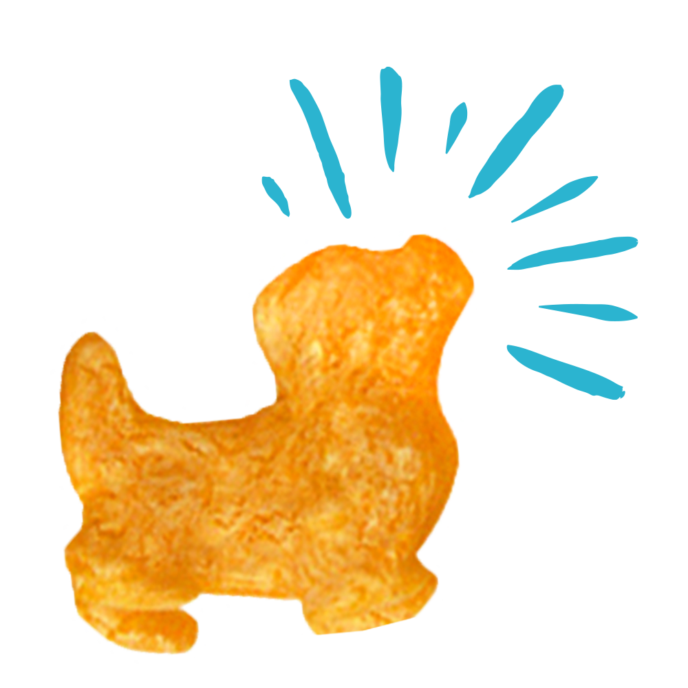 Pup Corn Plus with Chicken & Cheddar Cheese Puffed Dog Treats | 14.5 oz