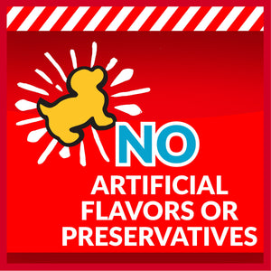 healthy dog treats