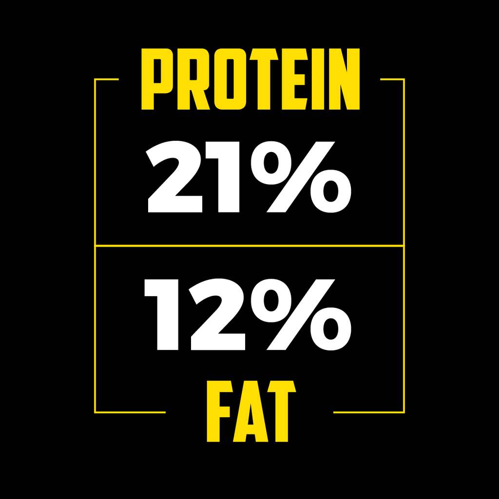 21% Protein, 12% Fat