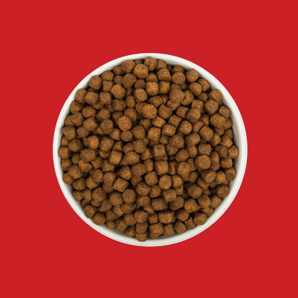 Premium Dog Food | 40 LB | Sportsman's Pride Classic