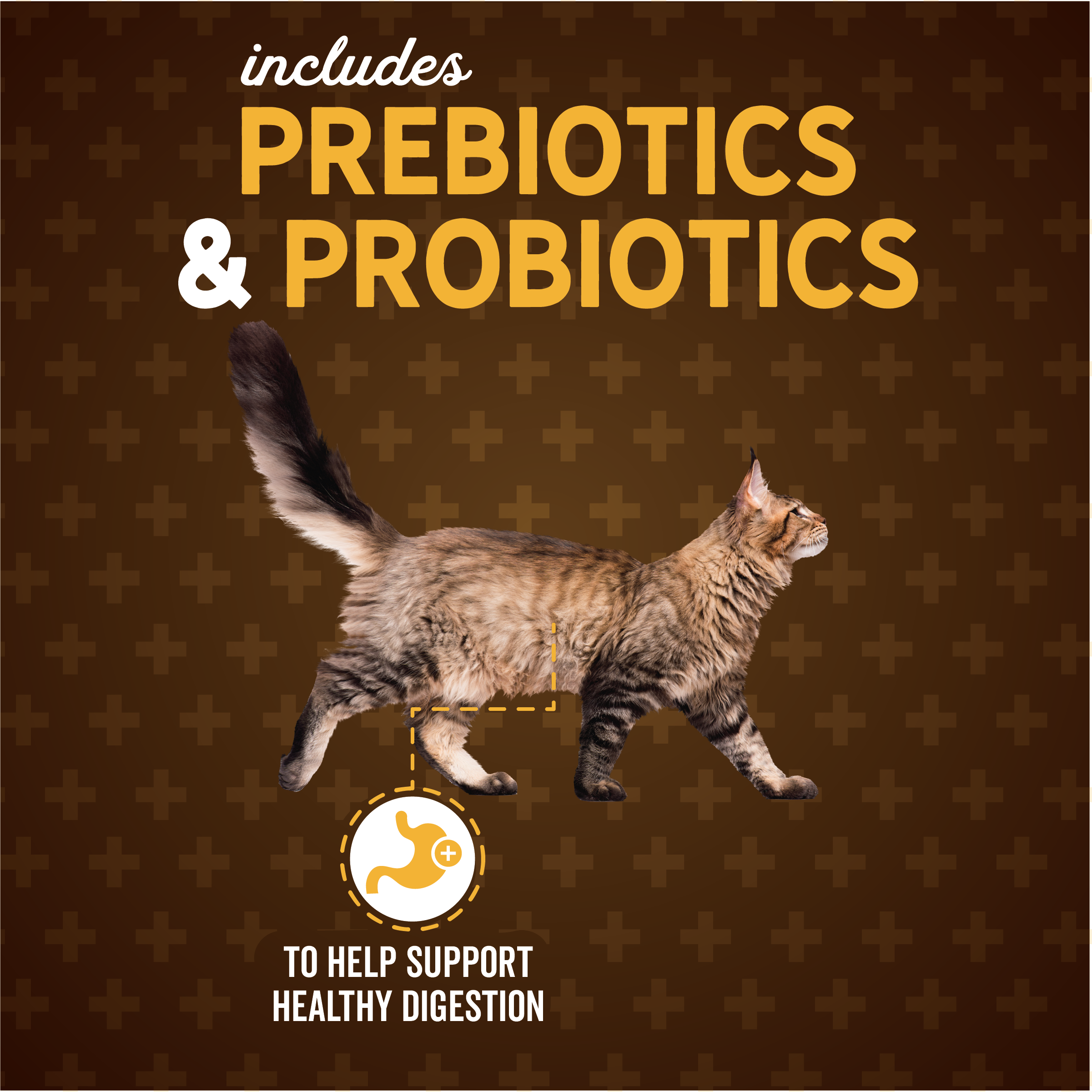 Includes prebiotics and probiotics to help support healthy digestion.