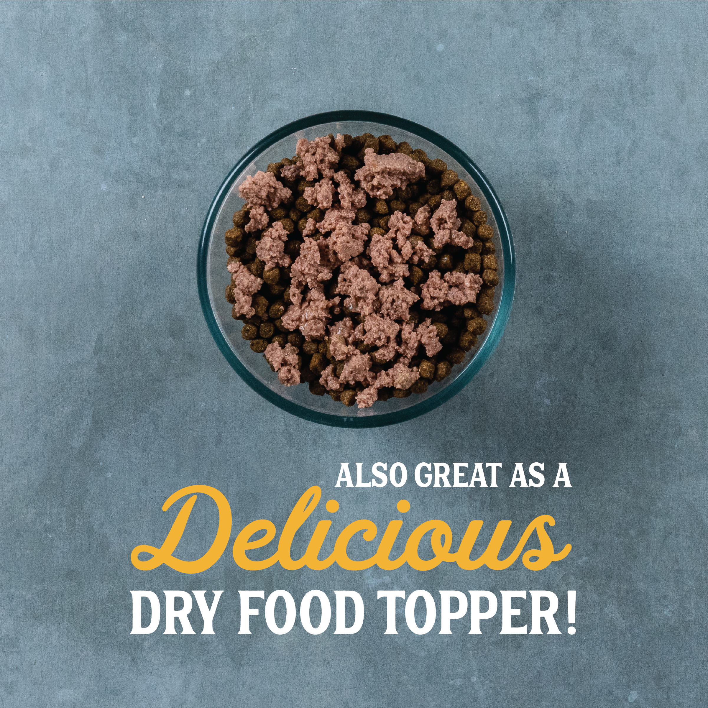 cat food seafood