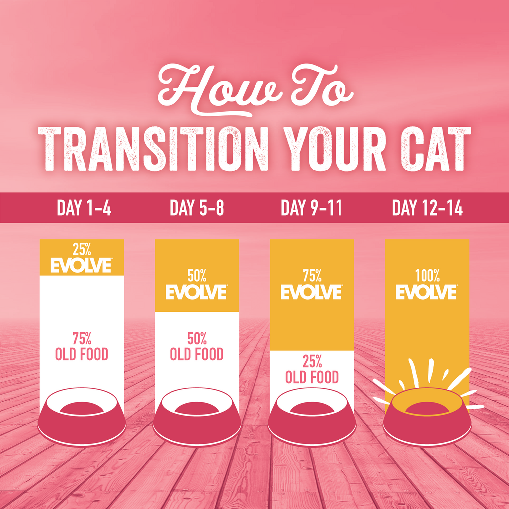 How to transition your cat