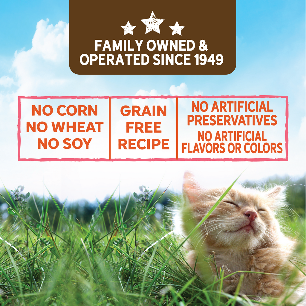 Evolve Grain Free Turkey Stew with Veggies in Gravy Wet Cat Food | 3 oz - 24 pk