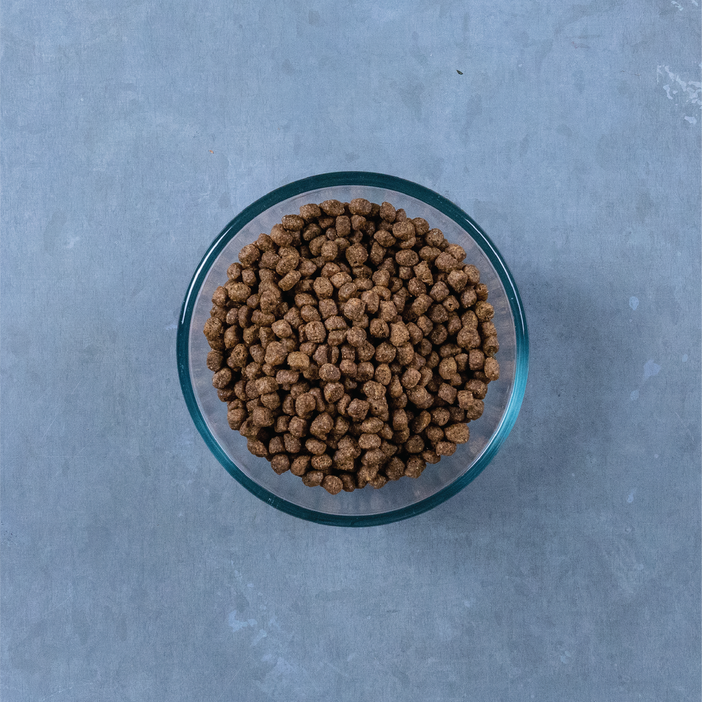 Chicken & Chickpea cat food