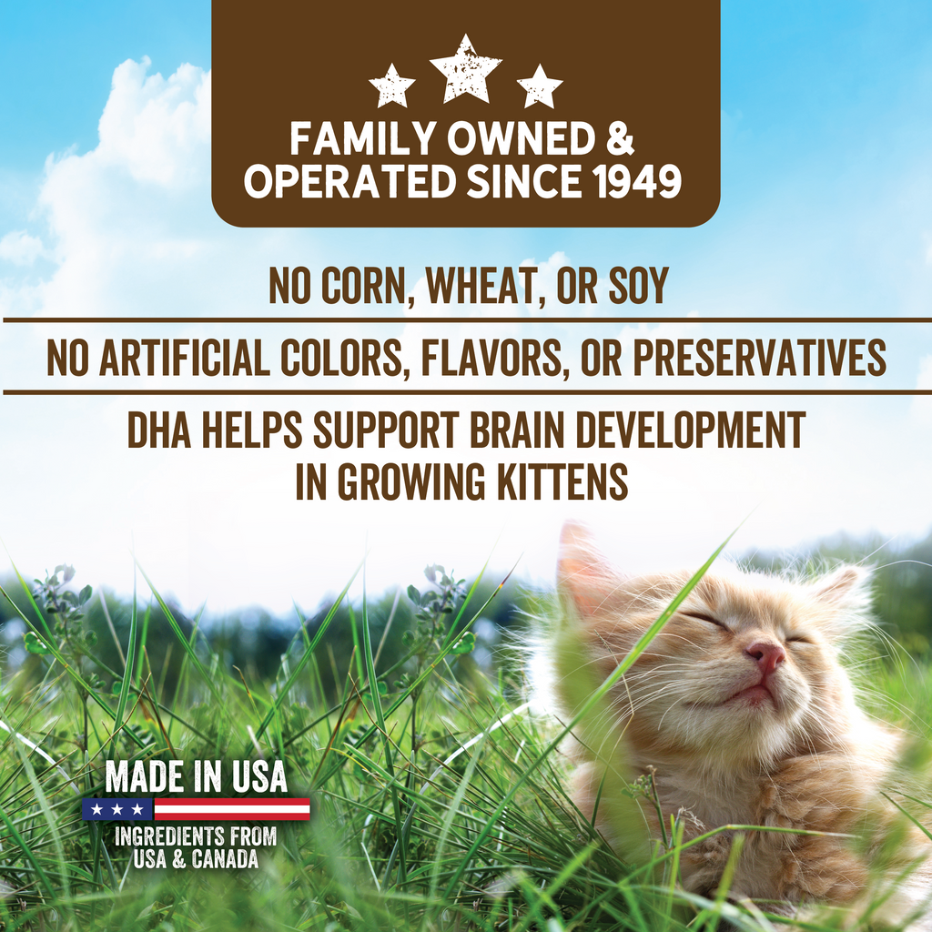 Evolve Grain Free Kitten Formula Dry Cat Food | 2.75 LB