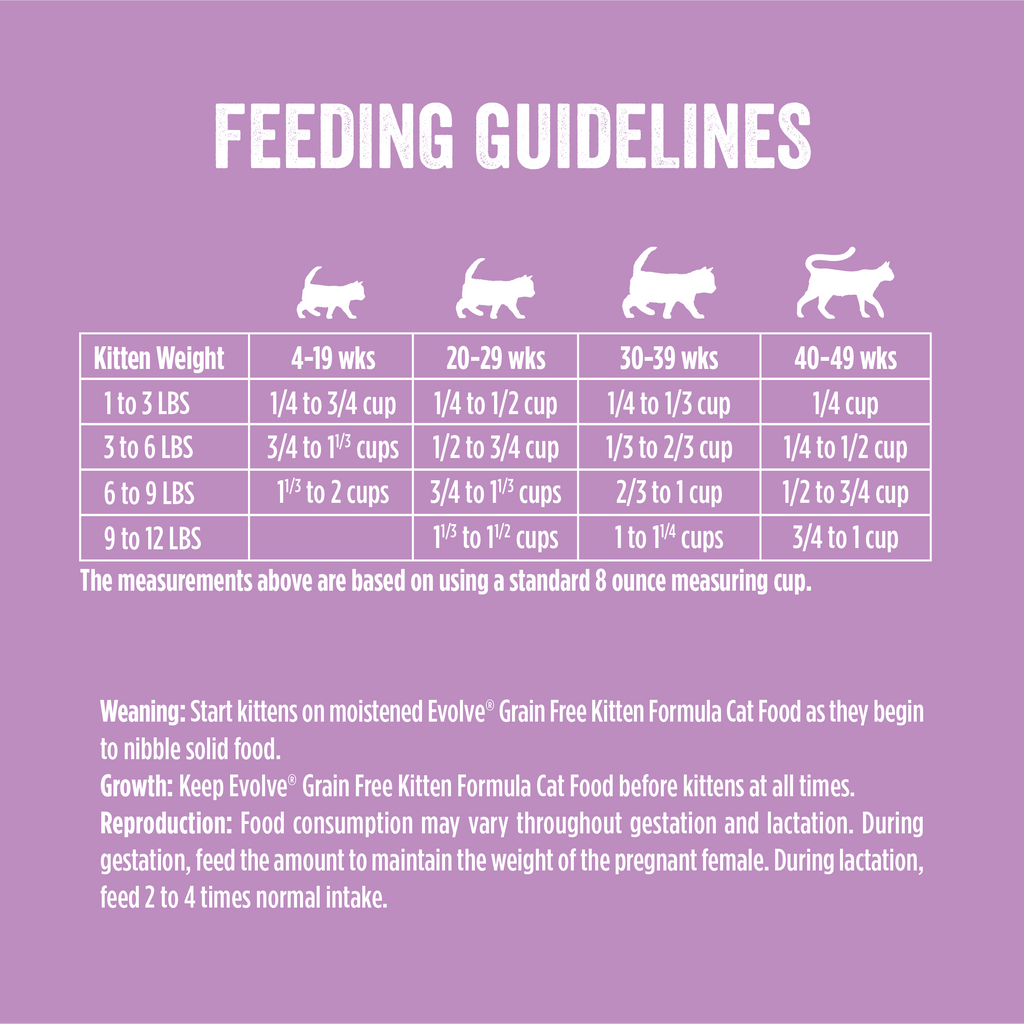 recommended kitten food feeding guidelines