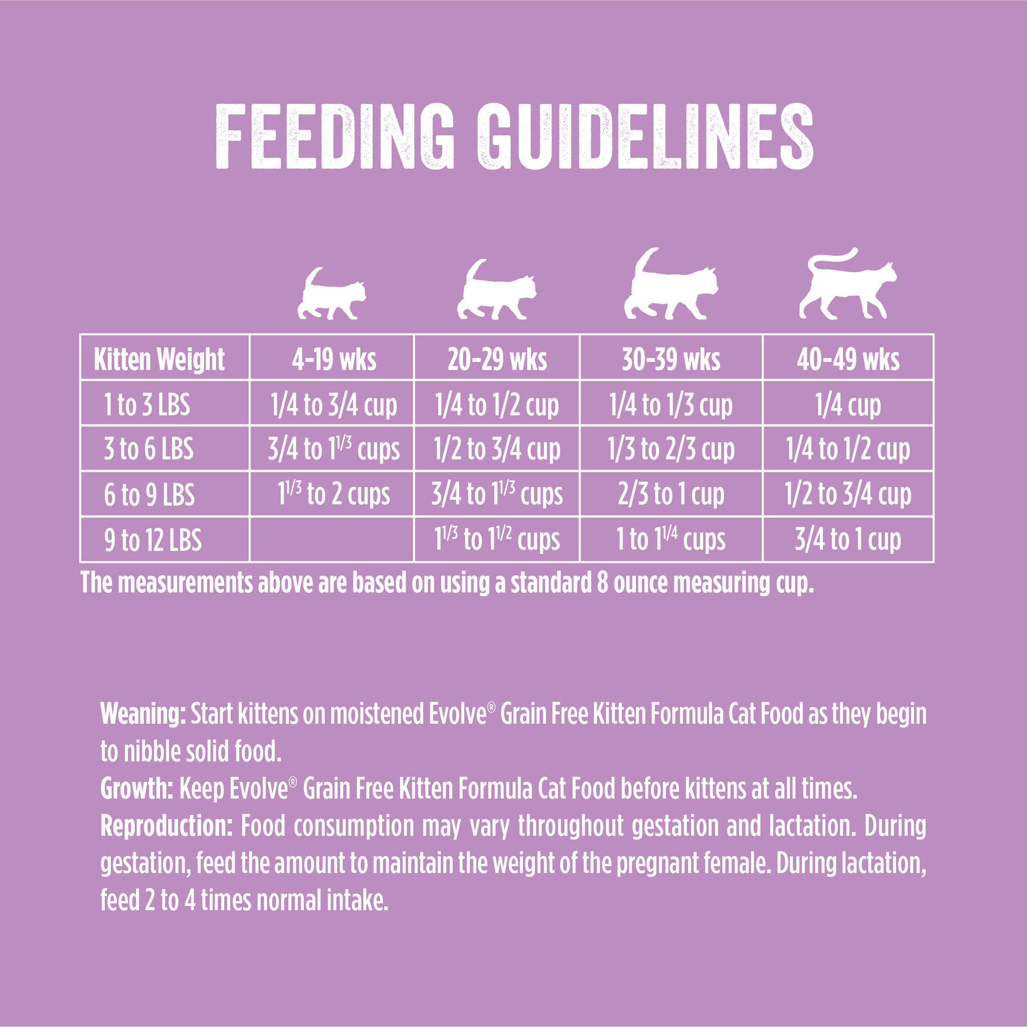 Evolve kitten food outlet