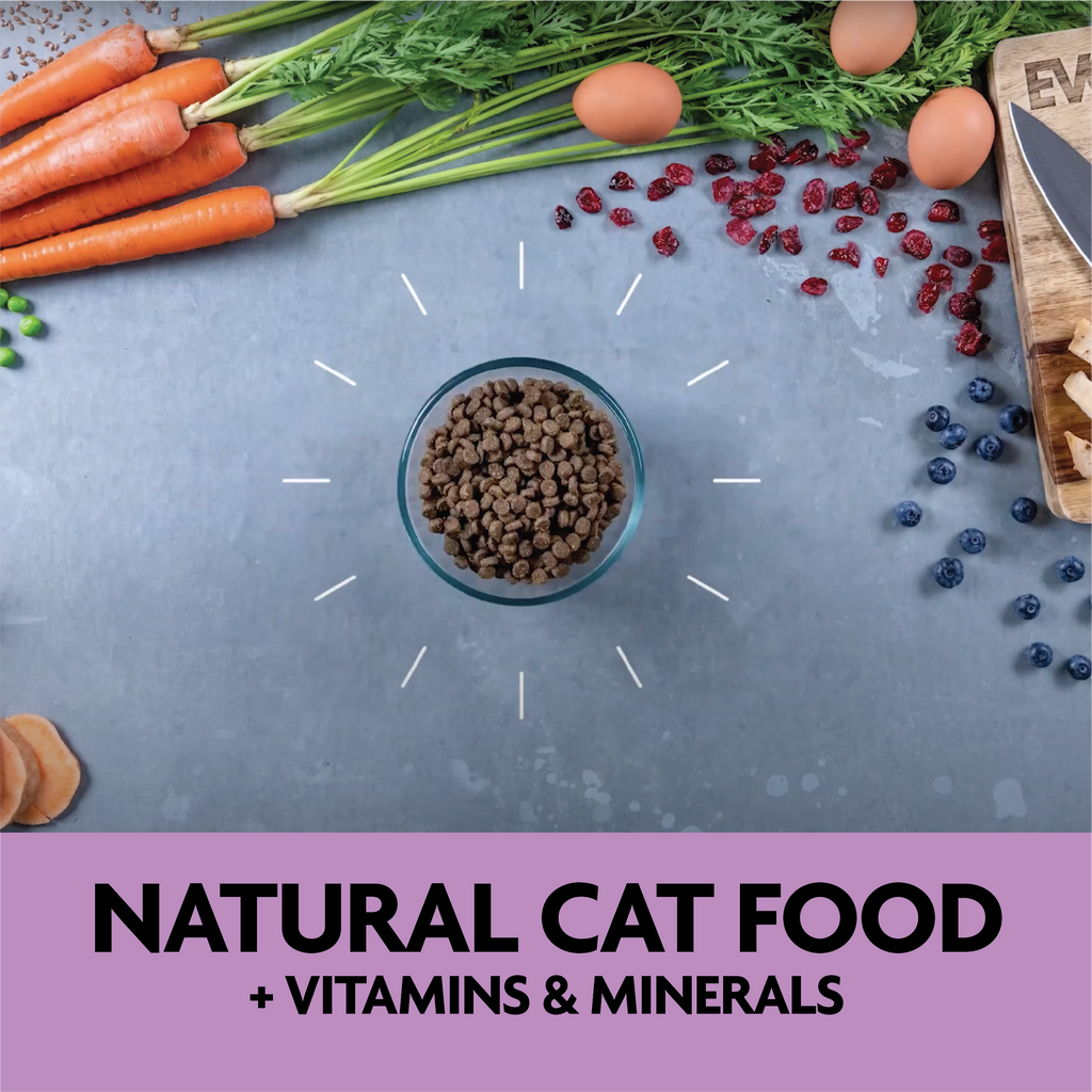 Natural cat food plus vitamins and minerals
