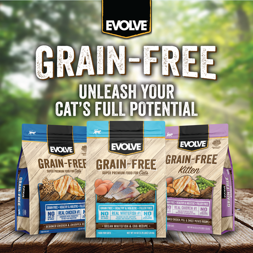 Grain free dry cat food