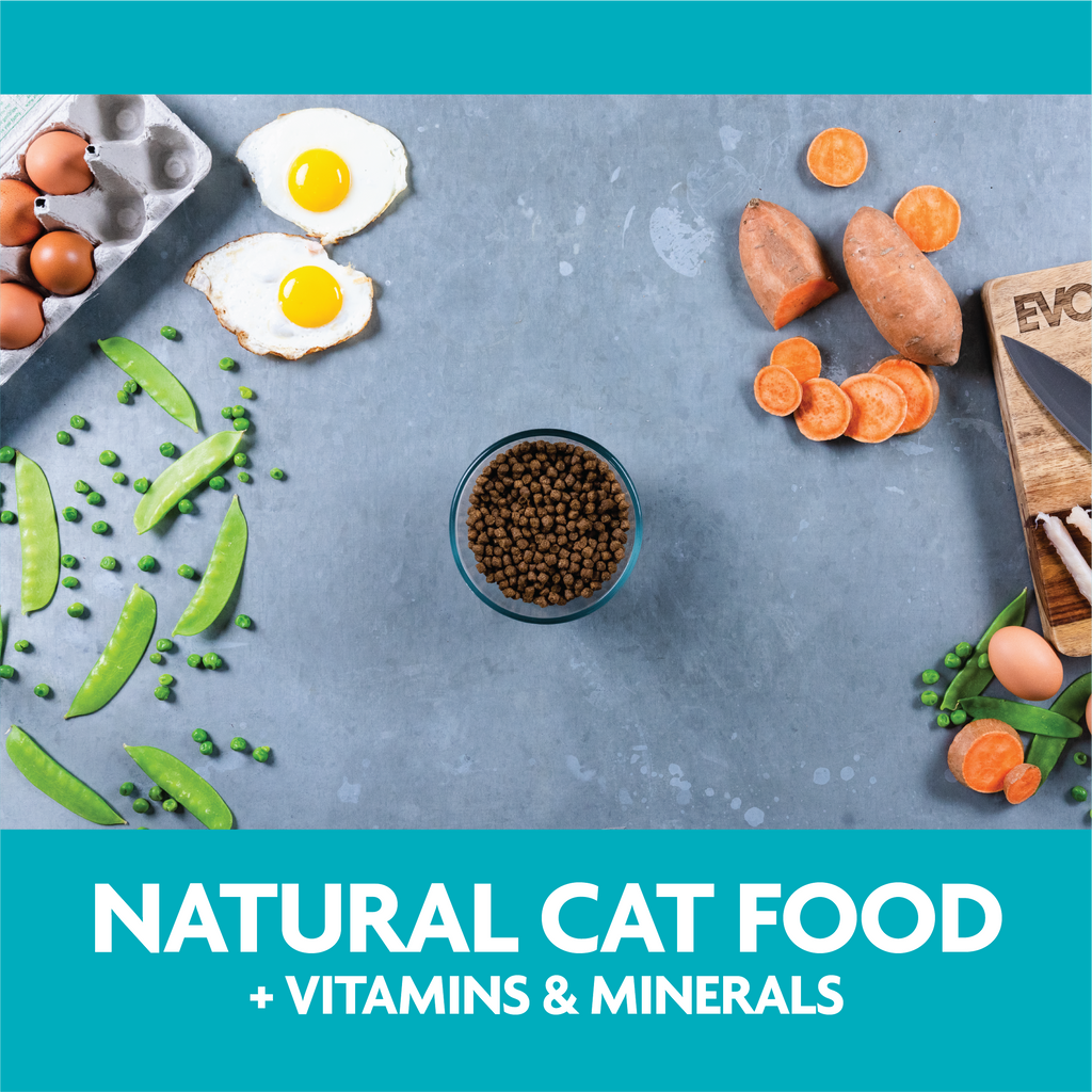 Natural cat food with vitamins and minerals