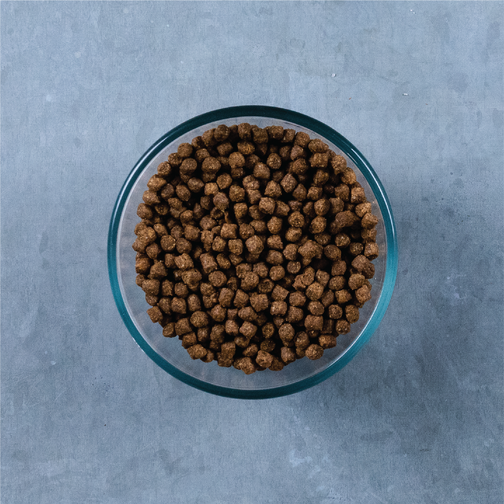 ocean whitefish cat food kibble view