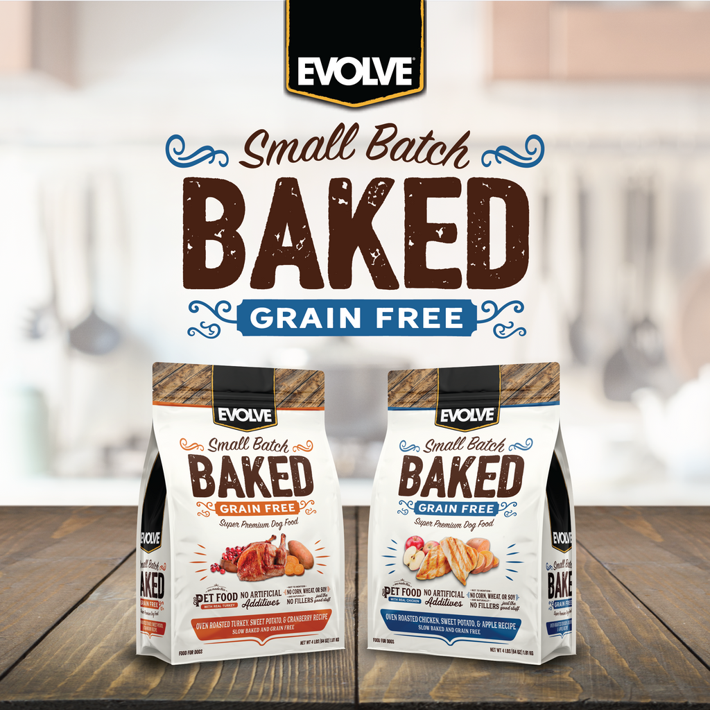 Evolve BAKED Chicken, Sweet Potato, & Apple Recipe Dry Dog Food | 4 LB, 11 LB