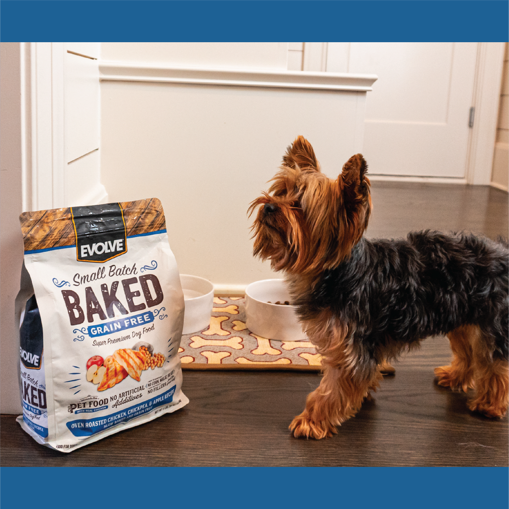Evolve BAKED Chicken, Sweet Potato, & Apple Recipe Dry Dog Food | 4 LB, 11 LB