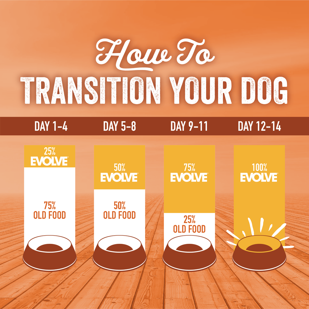 how to transition your dog