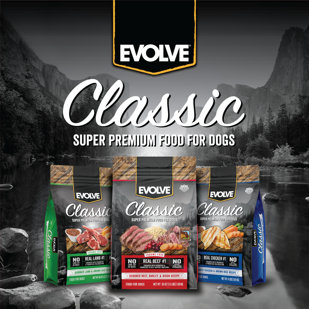 Evolve Classic Beef, Barley & Bison Recipe Dry Dog Food | 3.5 LB, 14 LB