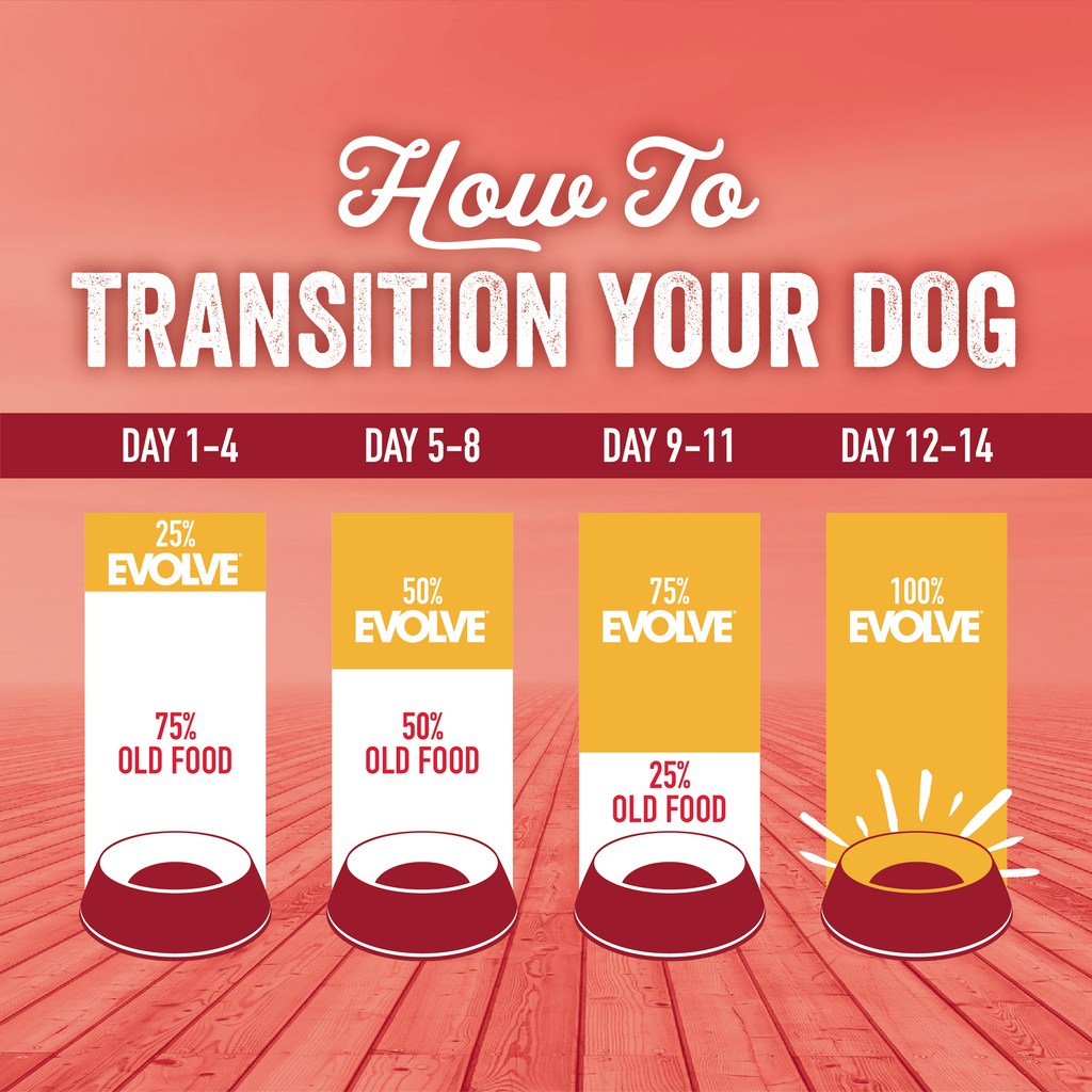 Evolve Classic Beef, Barley & Bison Recipe Dry Dog Food | 3.5 LB, 14 LB