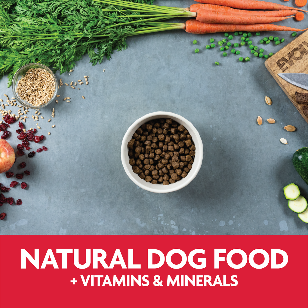 natural dog food plus vitamins and minerals