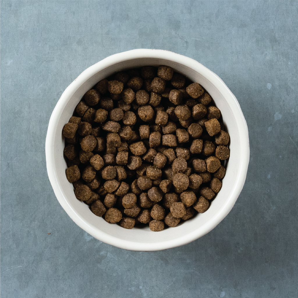 bison dry dog food kibble view