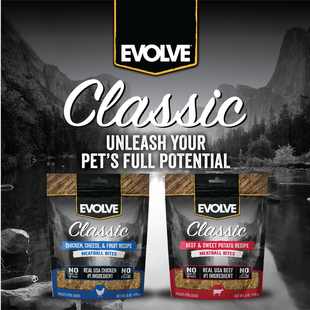 Evolve Classic Beef & Sweet Potato Recipe Meatball Bites Soft Dog Treats | 6 oz