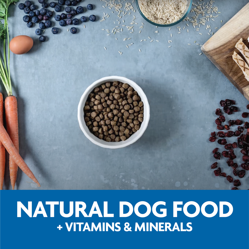 natural dog food plus vitamins and minerals