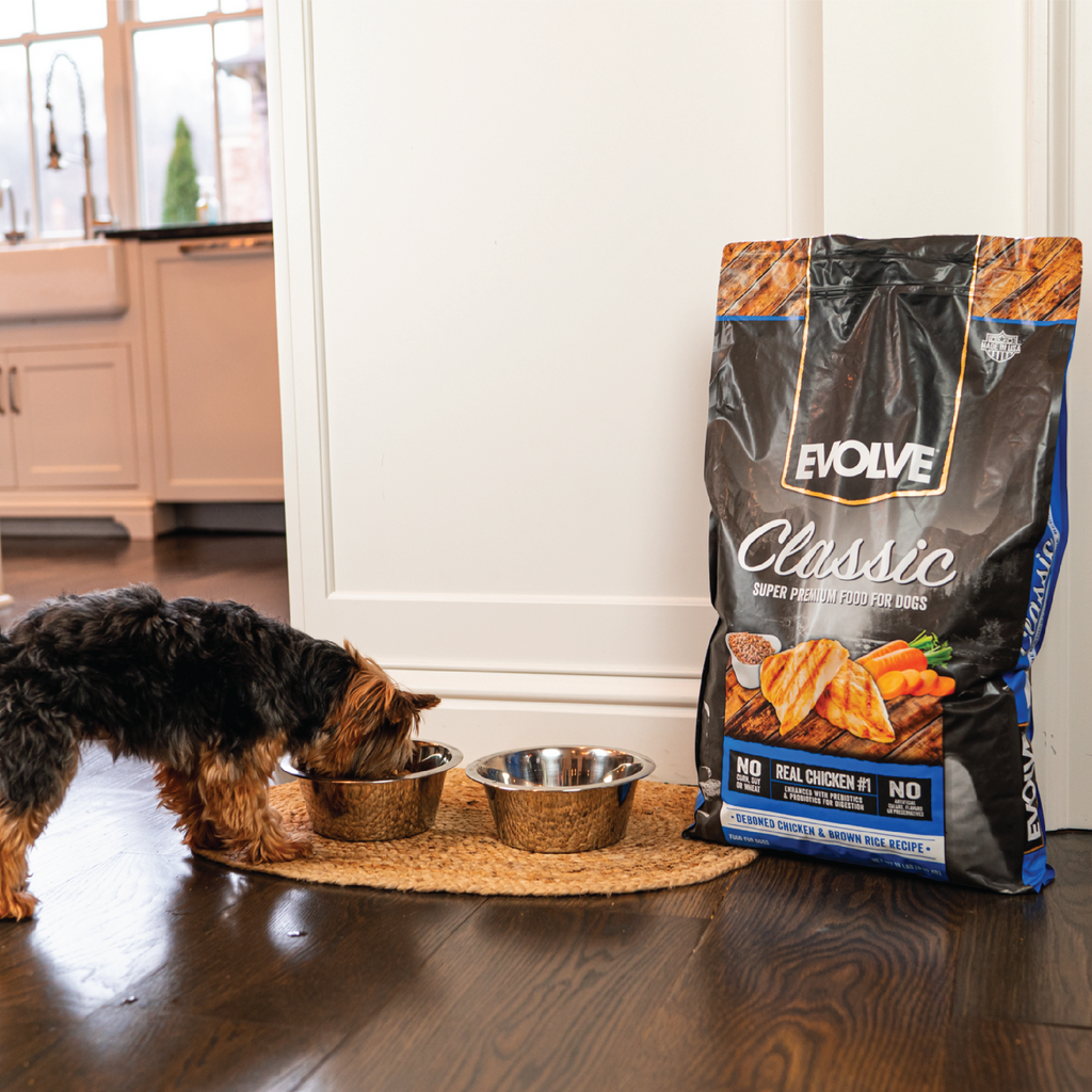 Balanced Evolve Classic Chicken Brown Rice Dry Dog Food
