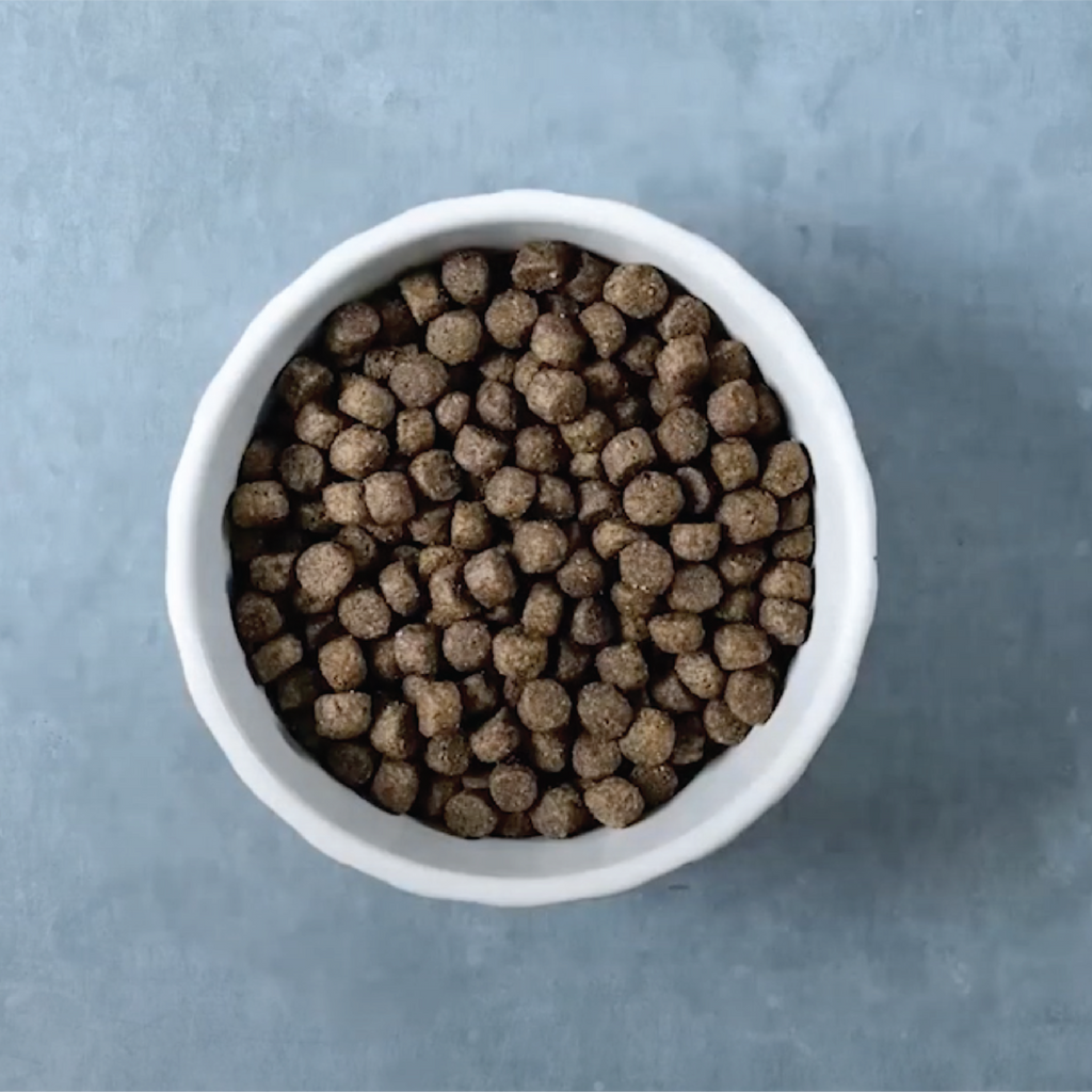 dry dog food with chicken kibble view