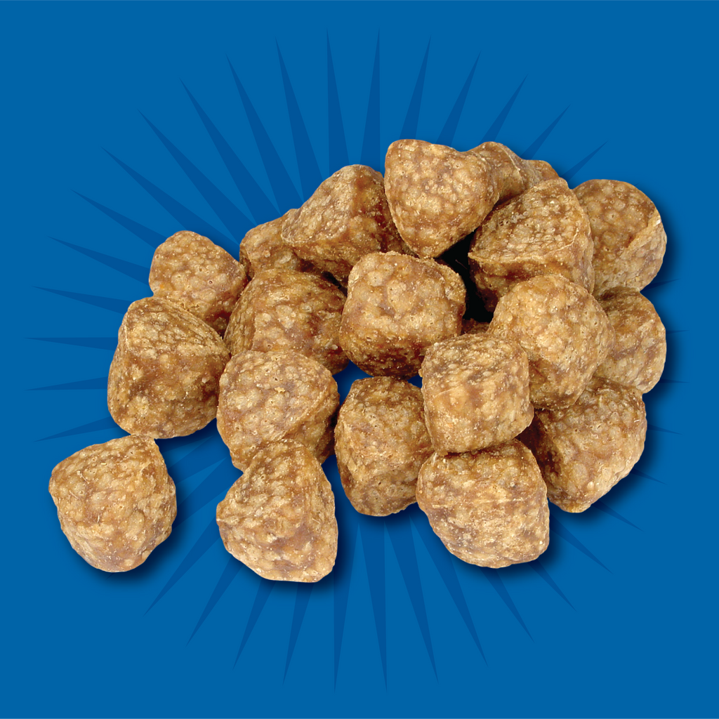 Evolve Classic Chicken, Cheese, & Fruit Recipe Meatball Bites Soft Dog Treats | 6 oz