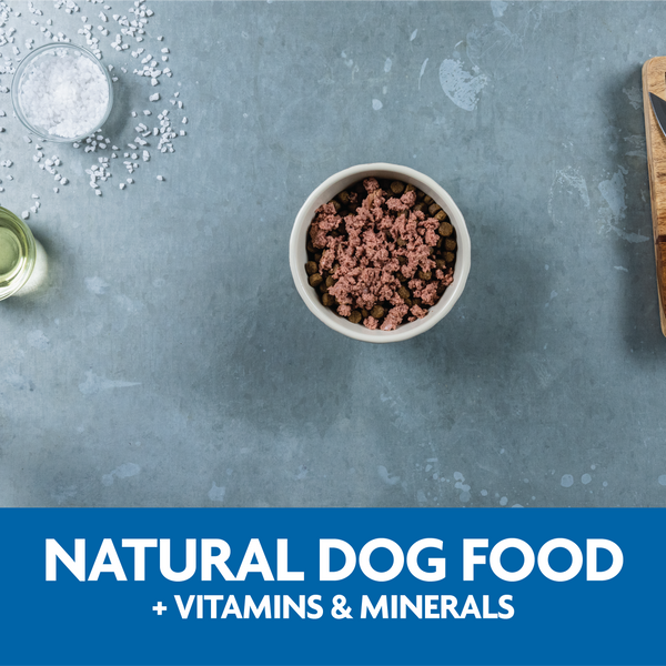 natural dog food plus vitamins and minerals