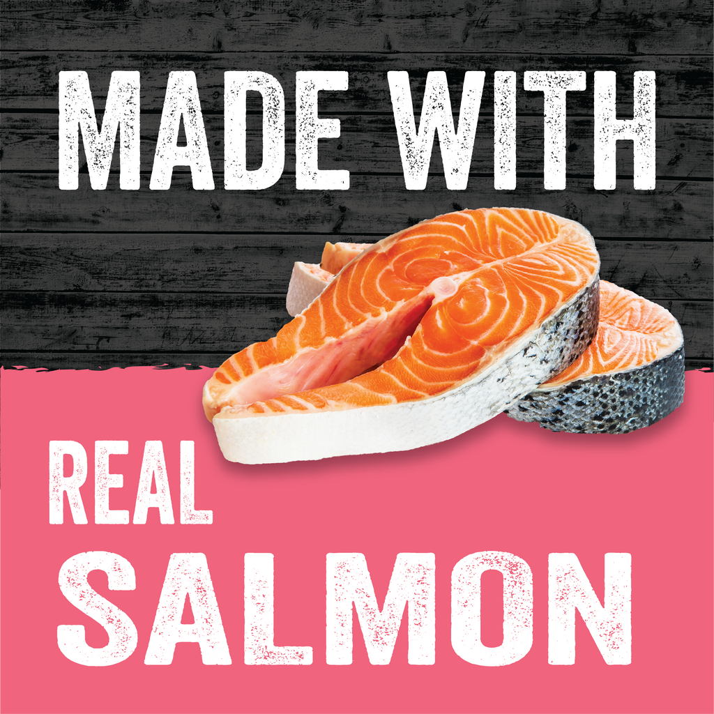 Evolve Classic Crafted Meals with Salmon Wet Dog Food | 3.5 oz - 15 pk