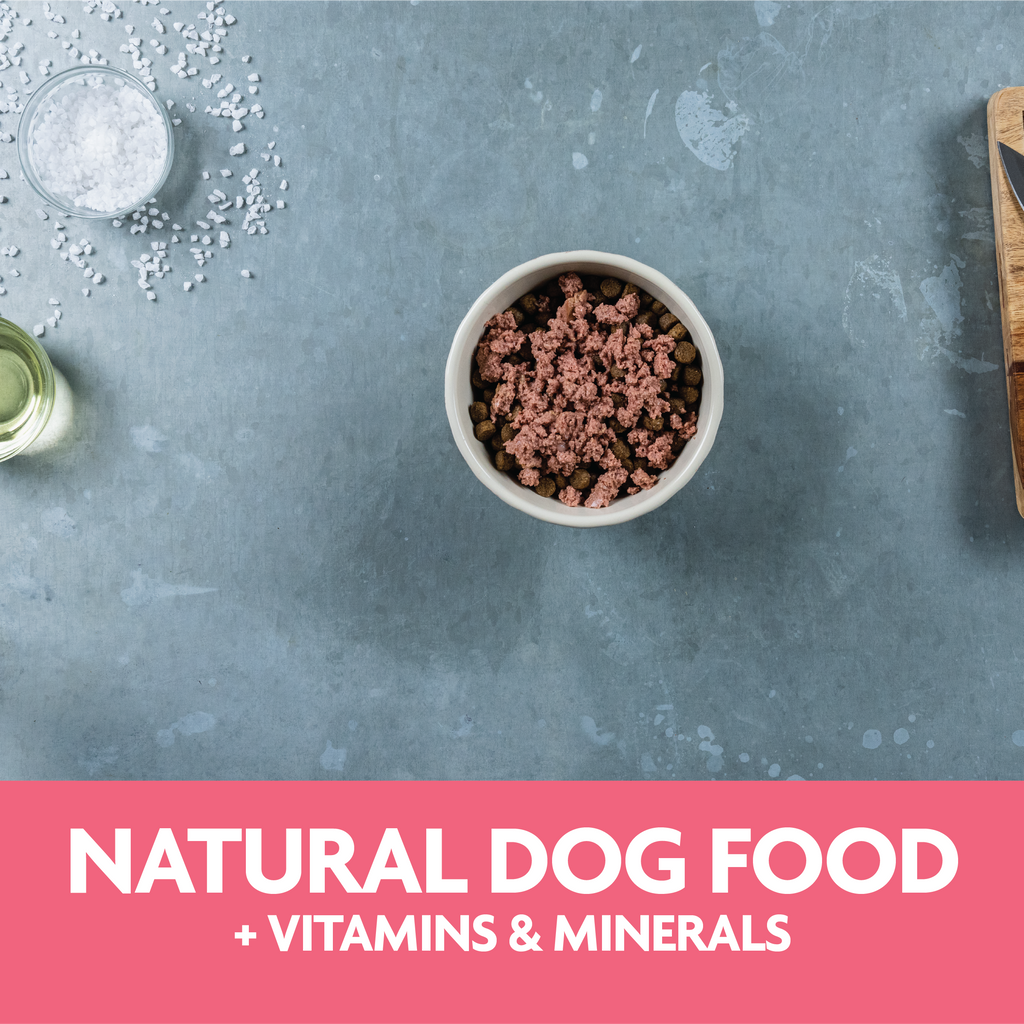 natural dog food plus vitamins and minerals