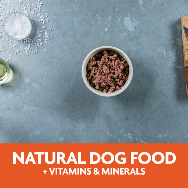 natural dog food plus vitamins and minerals