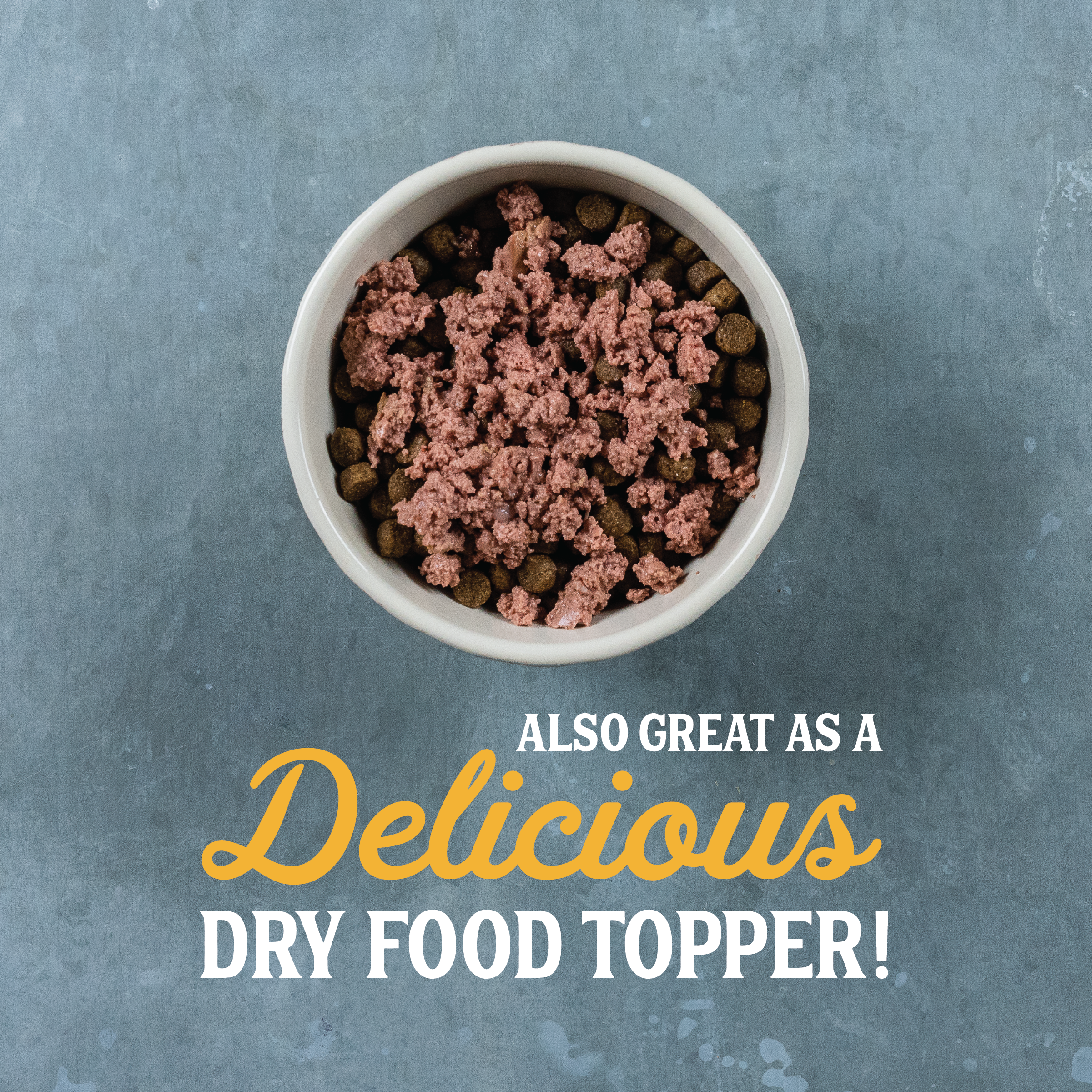 dog food turkey
