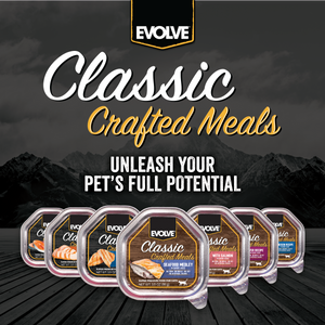 dog food venison