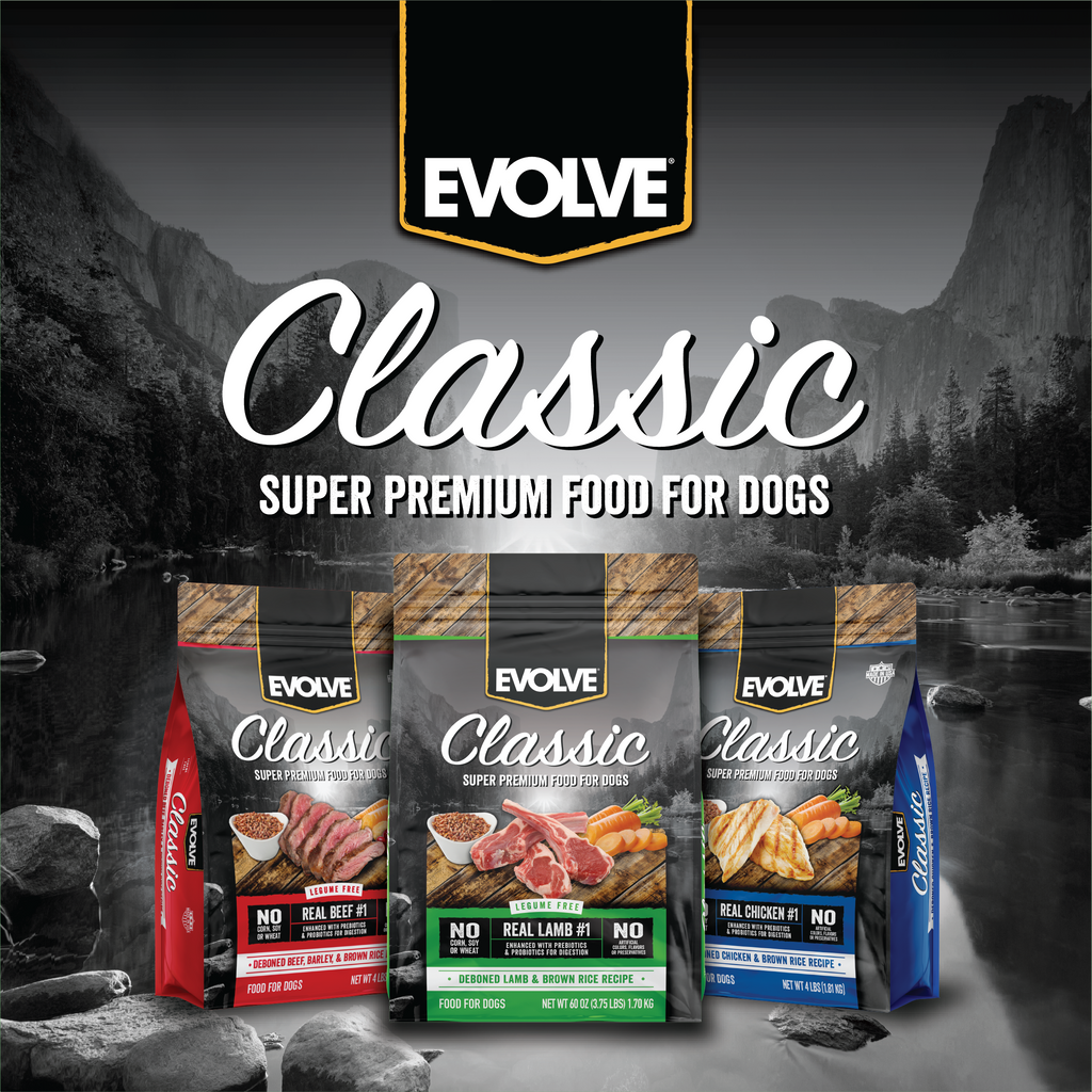 Evolve Classic Lamb & Brown Rice Recipe Dry Dog Food | 3.75 LB, 14 LB
