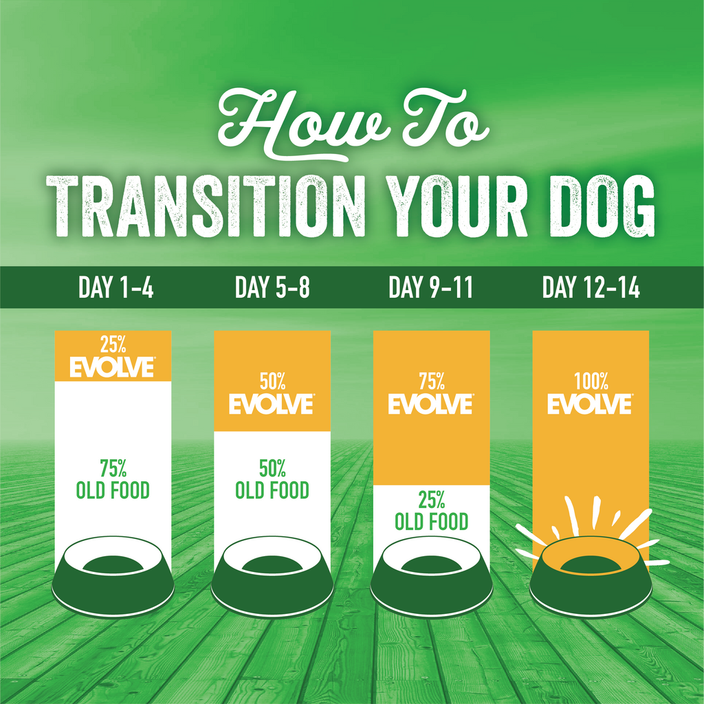 dog food transition chart