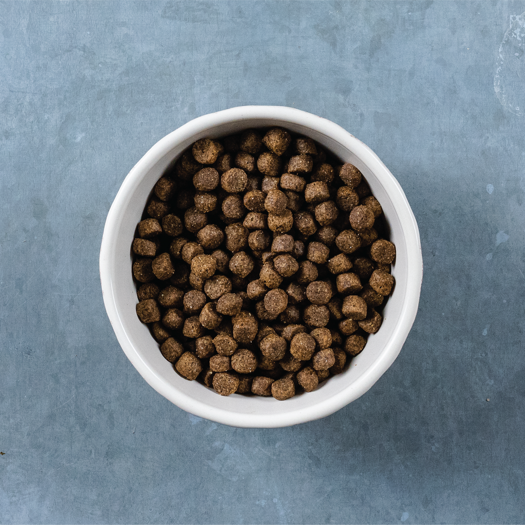 Evolve Classic Lamb & Brown Rice Recipe Dry Dog Food | 3.75 LB, 14 LB